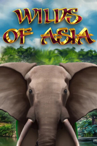 Wilds of Asia - играть онлайн | Казино Рояль - без регистрации