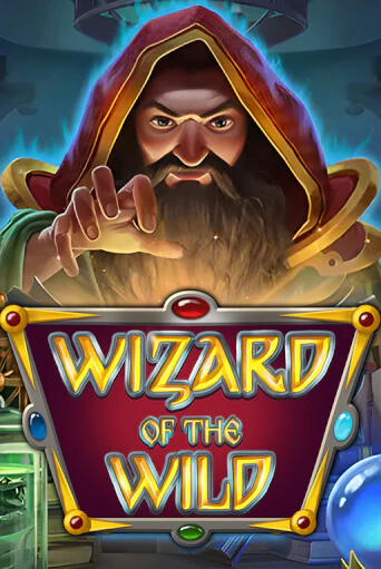 Wizard of the Wild - играть онлайн | Казино Рояль - без регистрации